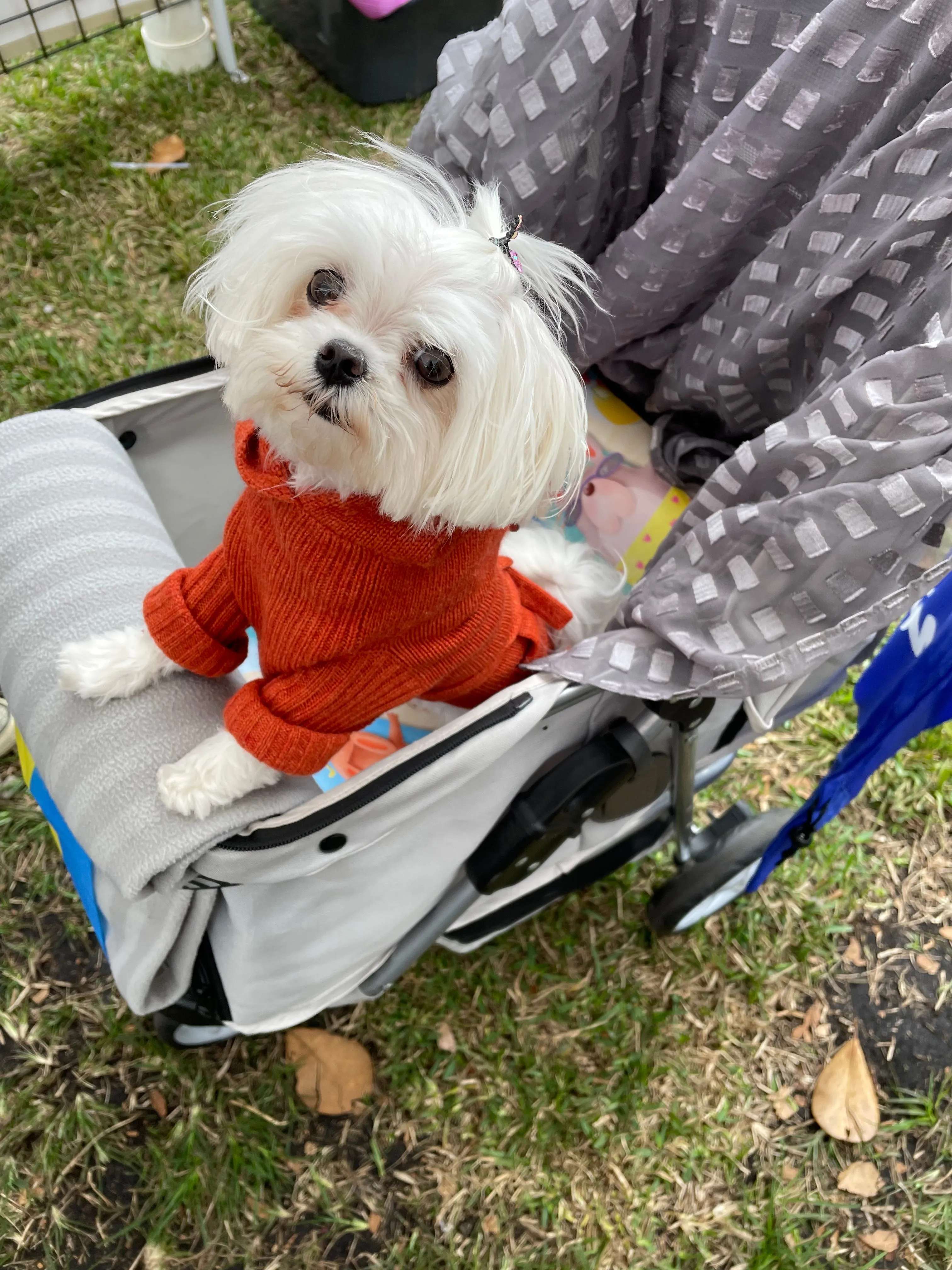 Carrier/Shopping Cart/Stroller Pad