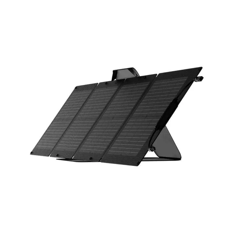 EcoFlow DELTA 2   2 x 110W Solar Panels