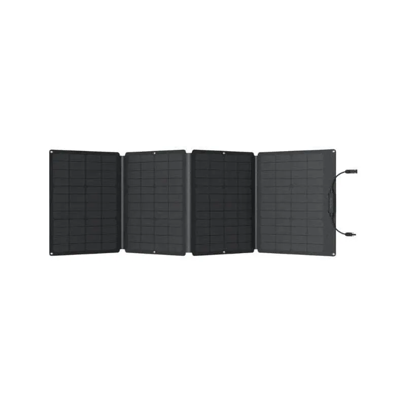 EcoFlow DELTA 2   2 x 110W Solar Panels