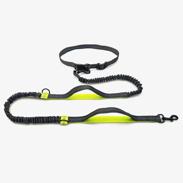 Runner's Dog Leash