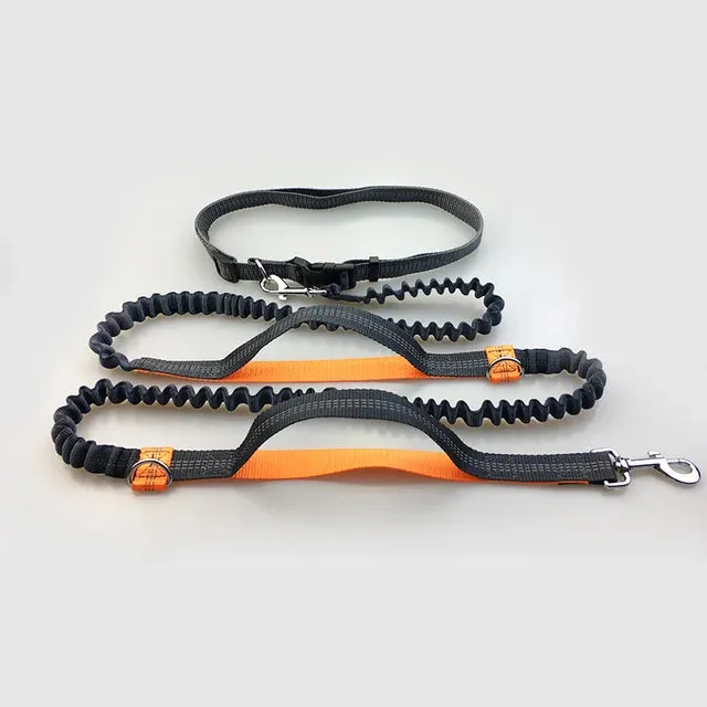 Runner's Dog Leash