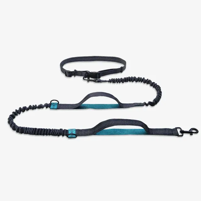 Runner's Dog Leash