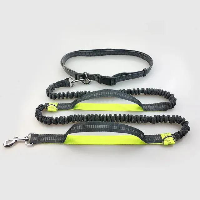 Runner's Dog Leash