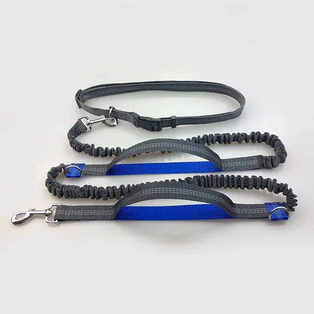 Runner's Dog Leash