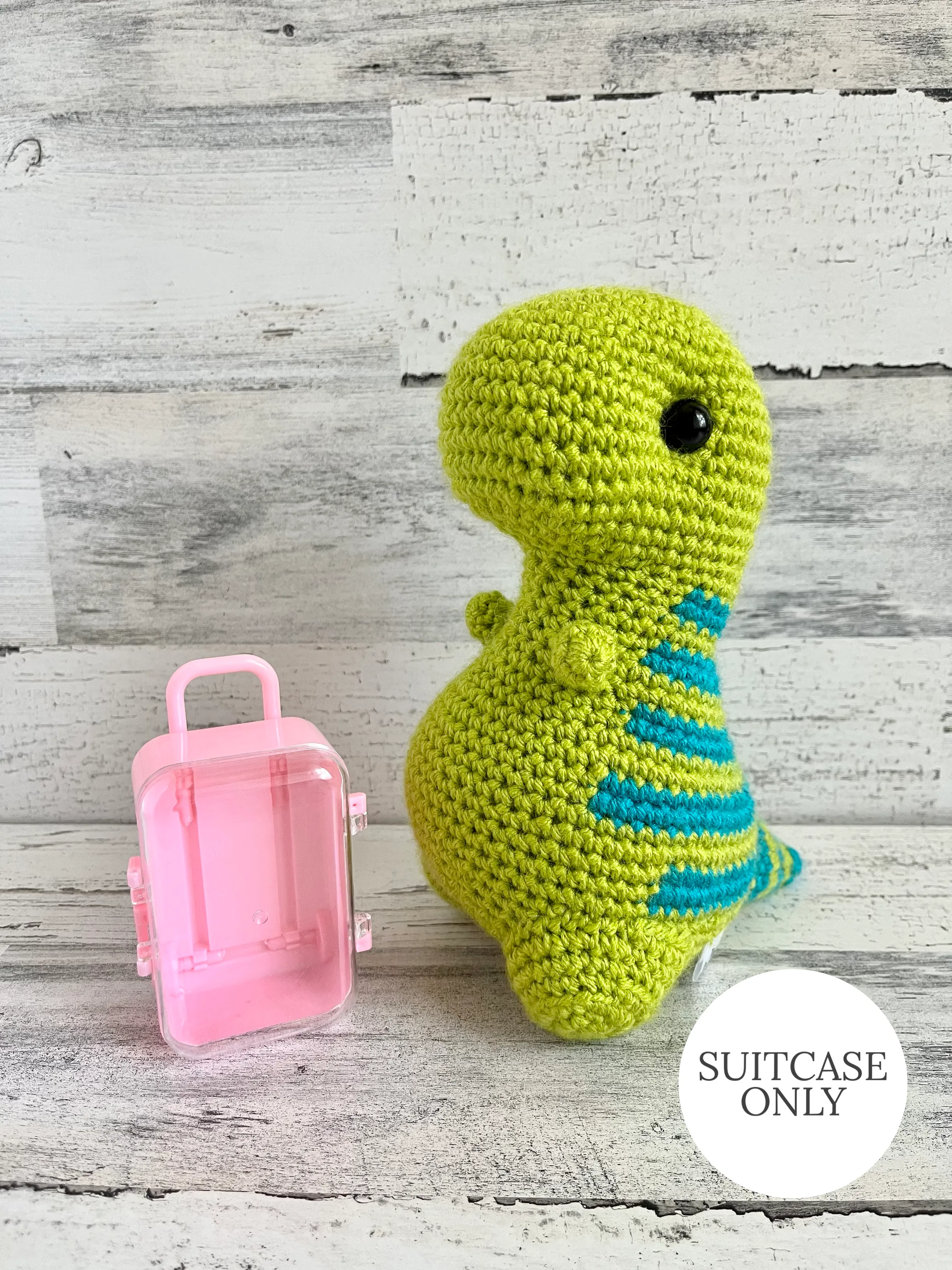 Small Suitcase - Dinosaur Accessories