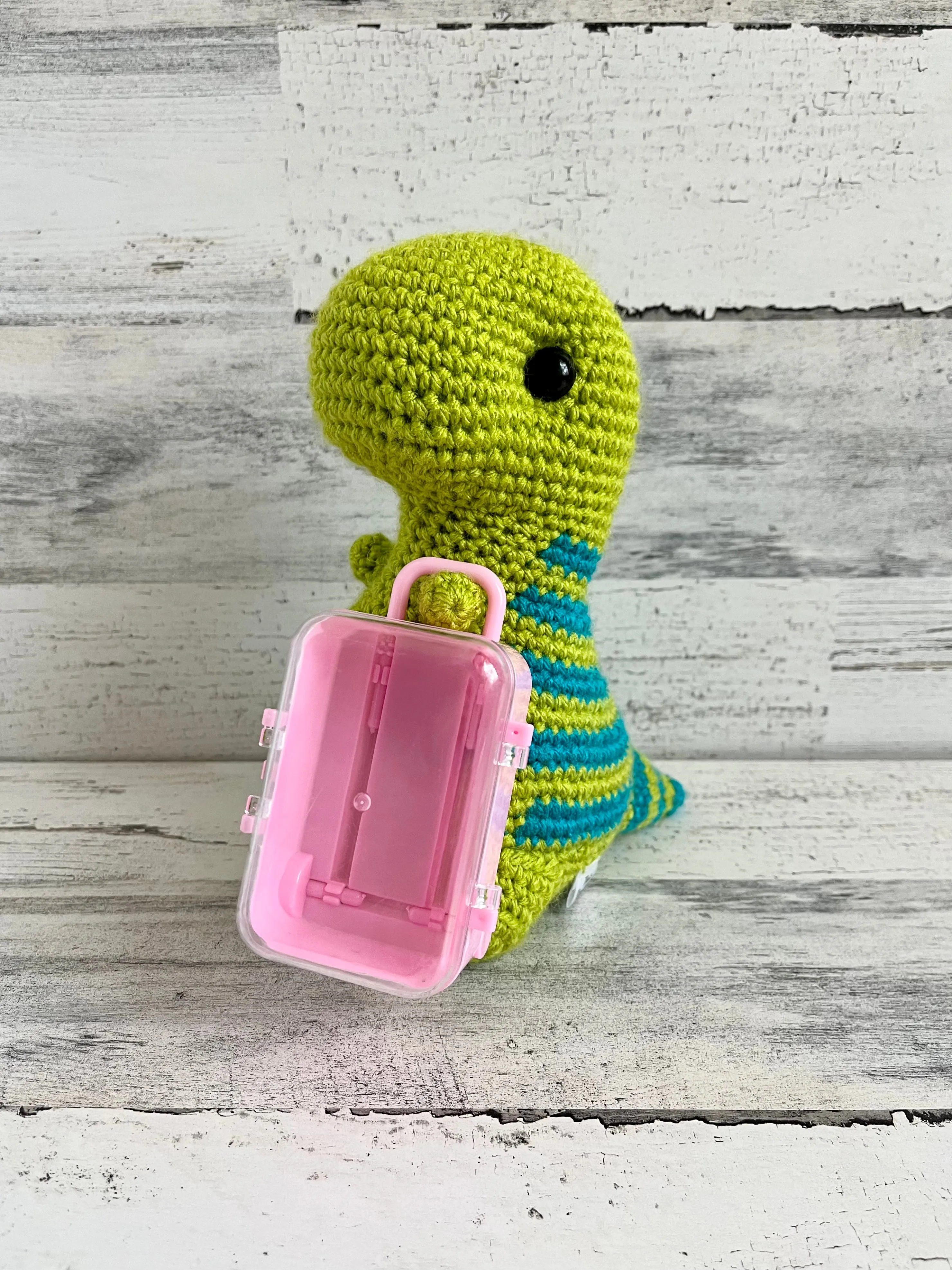 Small Suitcase - Dinosaur Accessories