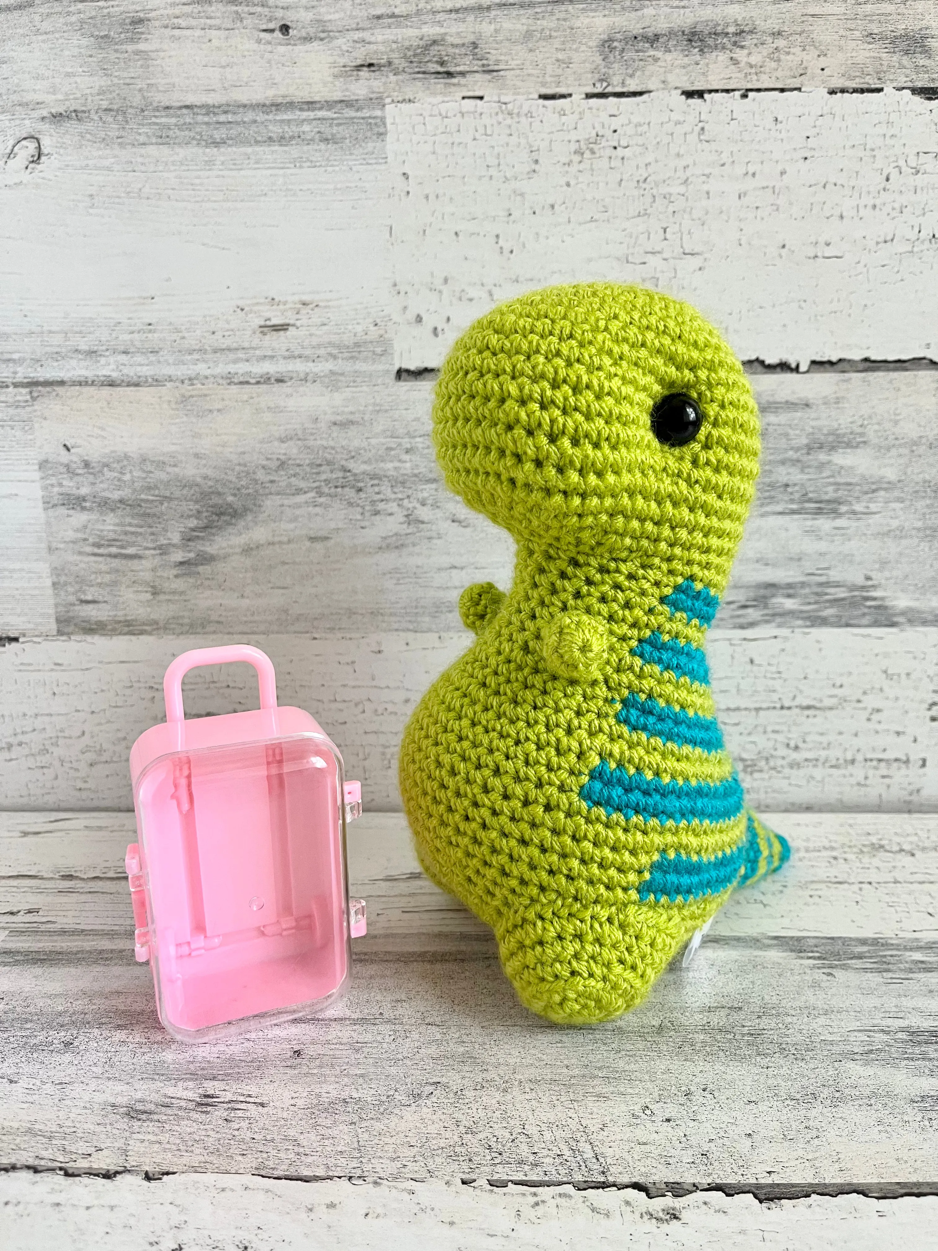 Small Suitcase - Dinosaur Accessories