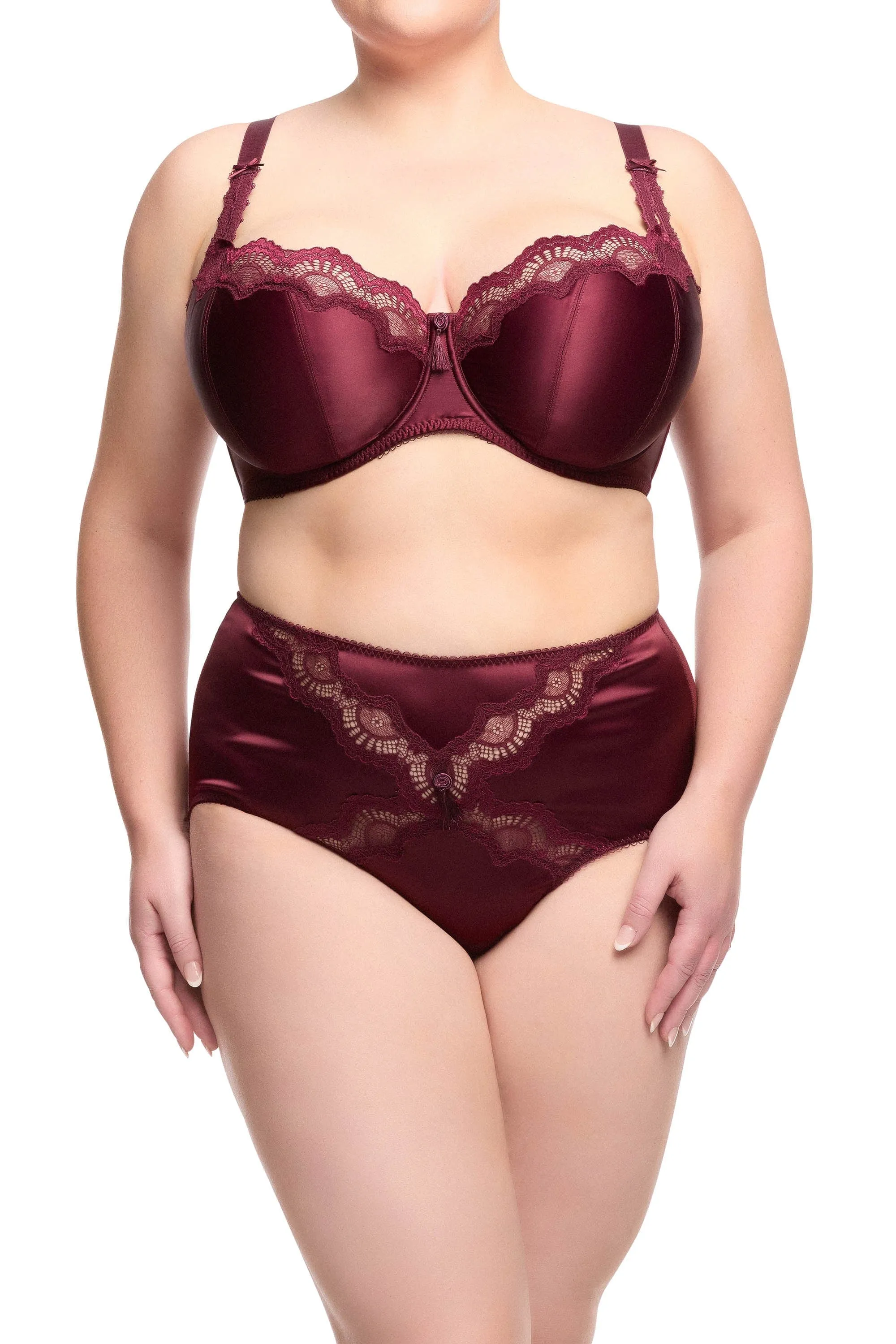 Star Lift Plum High Waisted Brief