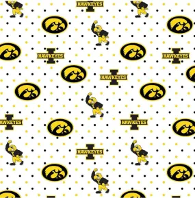 University of Iowa Hawkeyes Zipper Bag